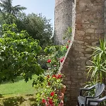 Town House With Garden And Piano *