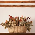 Town House With Garden And Piano * Τόντι