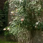 Σπίτι διακοπών Town House With Garden And Piano *