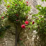 Σπίτι διακοπών Town House With Garden And Piano *
