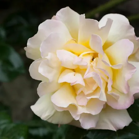 Semesterbostad Town House With Garden And Piano Todi