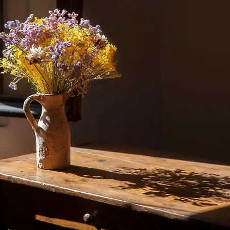 Semesterbostad Town House With Garden And Piano Todi