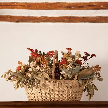 Town House With Garden And Piano * Todi