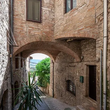Town House With Garden And Piano