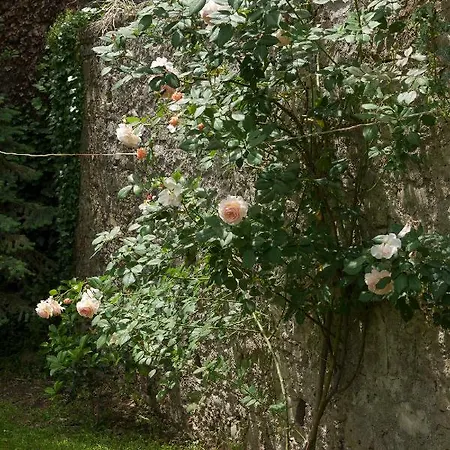 Semesterbostad Town House With Garden And Piano *