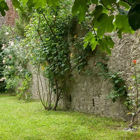Town House With Garden And Piano Holiday home