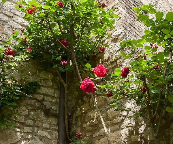 펜션 Town House With Garden And Piano *